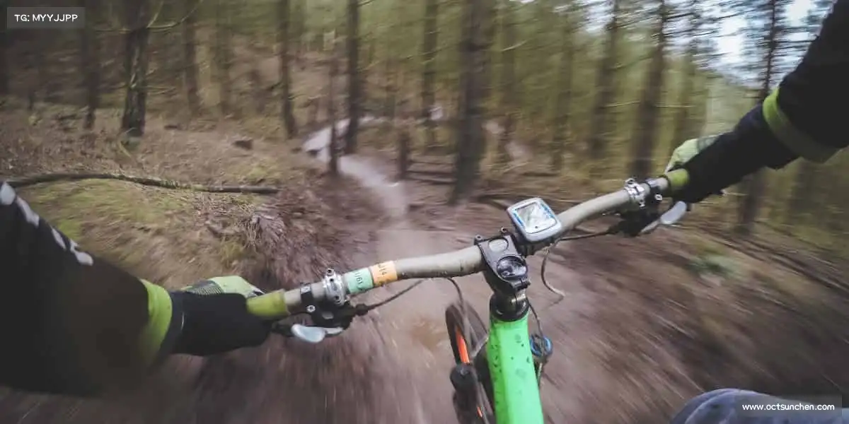 <strong>WG电子</strong>你的体育主场，由你定义📣